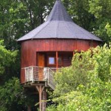 Hut in trees in village of unusual accommodations